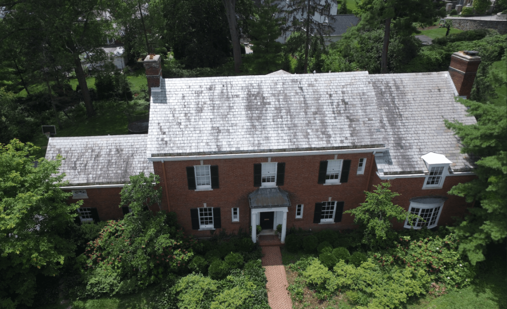 Clean your slate roof!